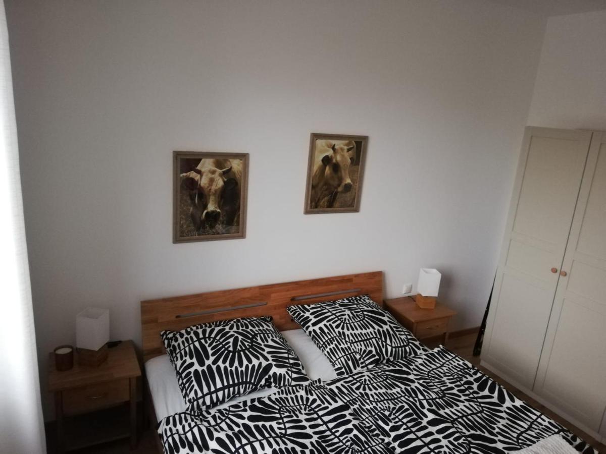Ferienwohnungen Frank Segnitz Exteriér fotografie